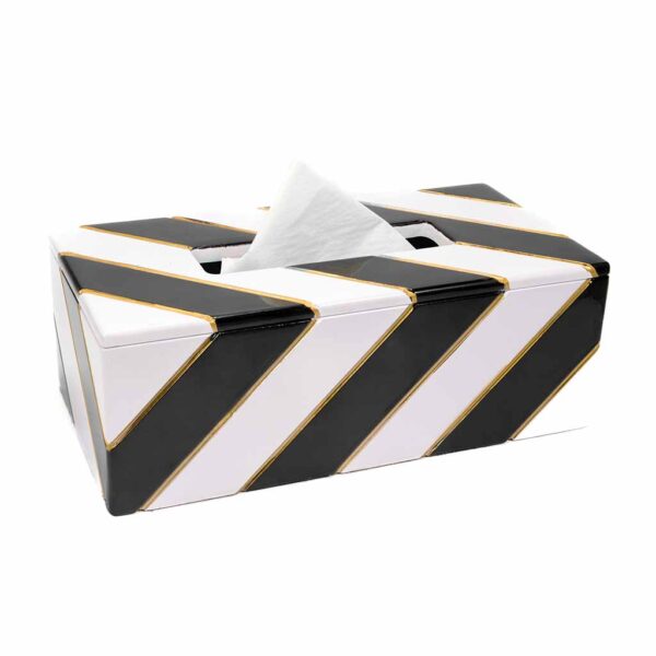 Novus Tissue Box featuring a chic contemporary design, perfect for enhancing home décor while providing convenient tissue storage solutions in Pakistan.