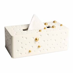 Bubble Tissue Box