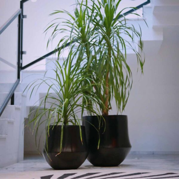 Aero Floor Planter