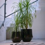 Aero-Planter-Small-Black-Studio.jpg