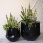 Aero-Planter-Small-Black-Studio.jpg