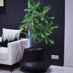 Aero-Planter-Medium-Wide-Black-Studio.jpg