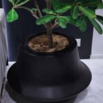 Aero-Planter-Medium-Wide-Black-Studio.jpg