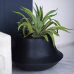 Aero-Planter-Medium-Wide-Black-Studio.jpg