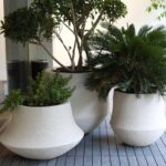 Aero-Planter-Small-Black-Studio.jpg