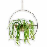 Aster-Bowl-Studio.jpg