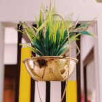 Aster-Bowl-Studio.jpg