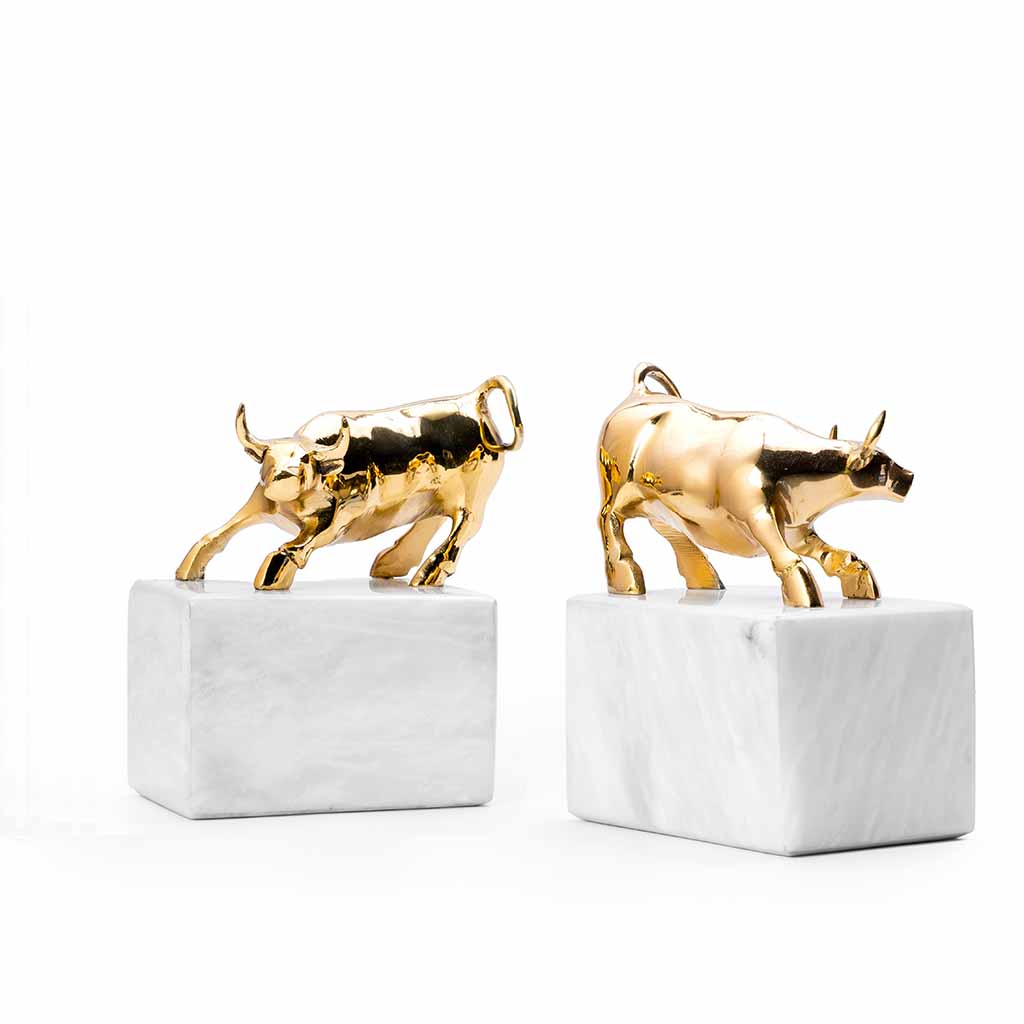 Bovem-Bookend-Studio.jpg Bovem Bookends in Pakistan