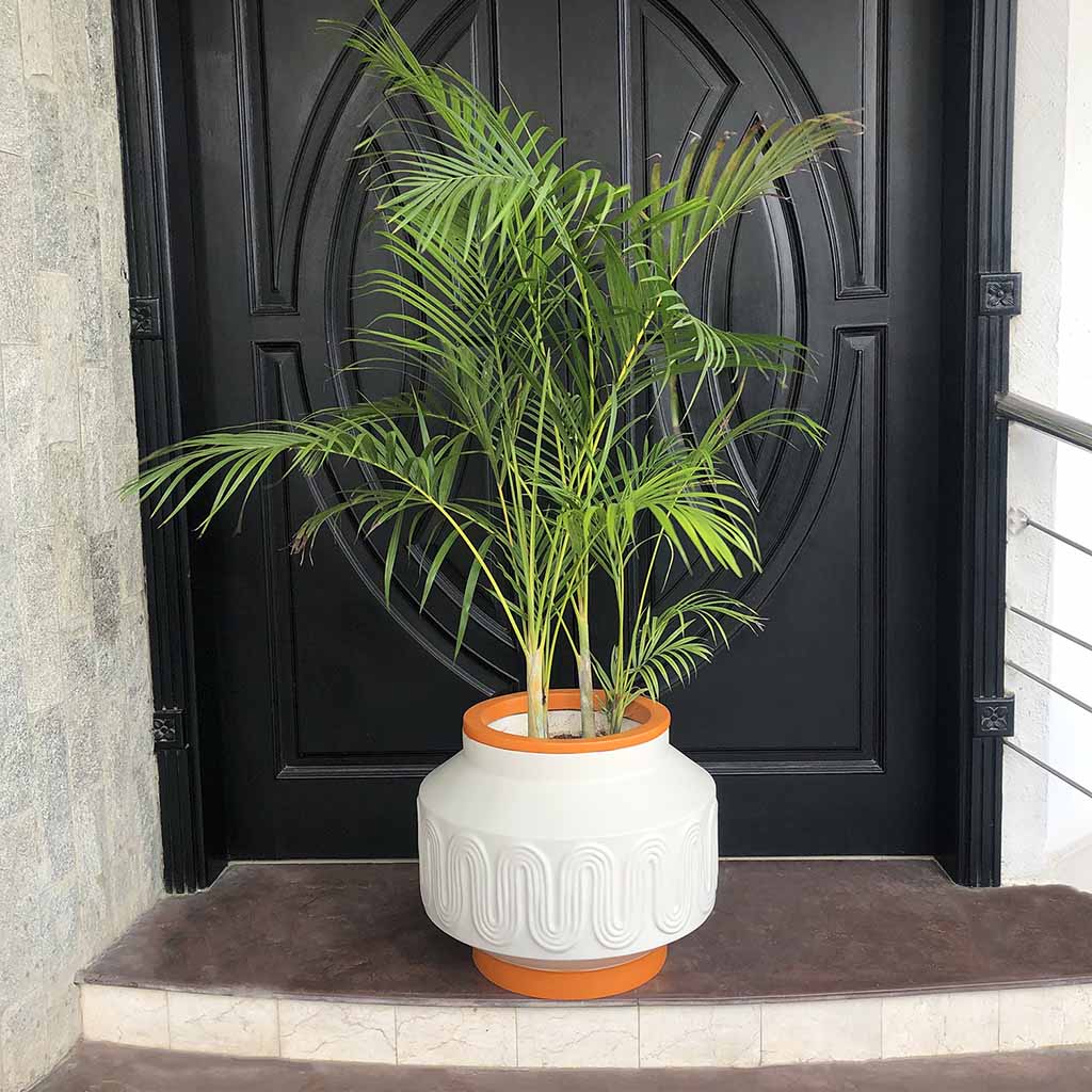 Citron-Planter-Lifestyle.jpg