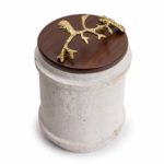 Coral Keepsake Box – Creo Living Coral-Keepsake-Box-Studio-2.jpg