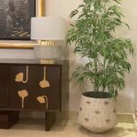 Gena-Planter-Black-Studio.jpg