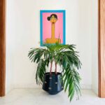 Gena-Planter-Black-Studio.jpg