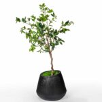 Linea-Planter-Black-Studio.jpg
