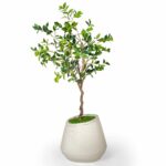 Linea-Planter-Black-Studio.jpg