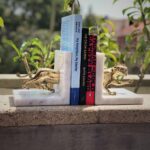Panthera-Bookend-Studio.jpg