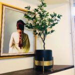 Pax-Planter-Studio.jpg