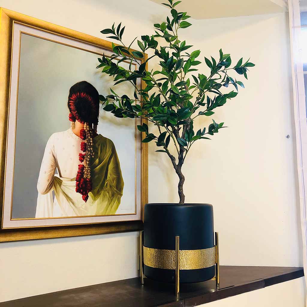Pax-Planter-Studio-1.jpg