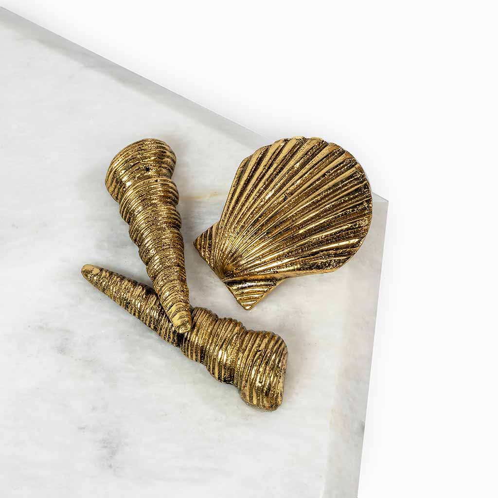 Seashell-Platter-Studio-2.jpg