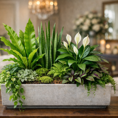 From Hosting to Display: How Serving Trays Style Every Surface in Your Home