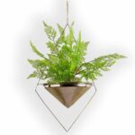 Vert-Pyramid-Studio.jpg