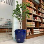 Vox-Planter-Green-Studio.jpg
