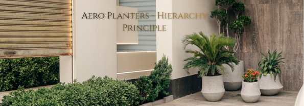 Blogs – Creo Living The Art of Planting: Understanding Hierarchy in Landscape Design