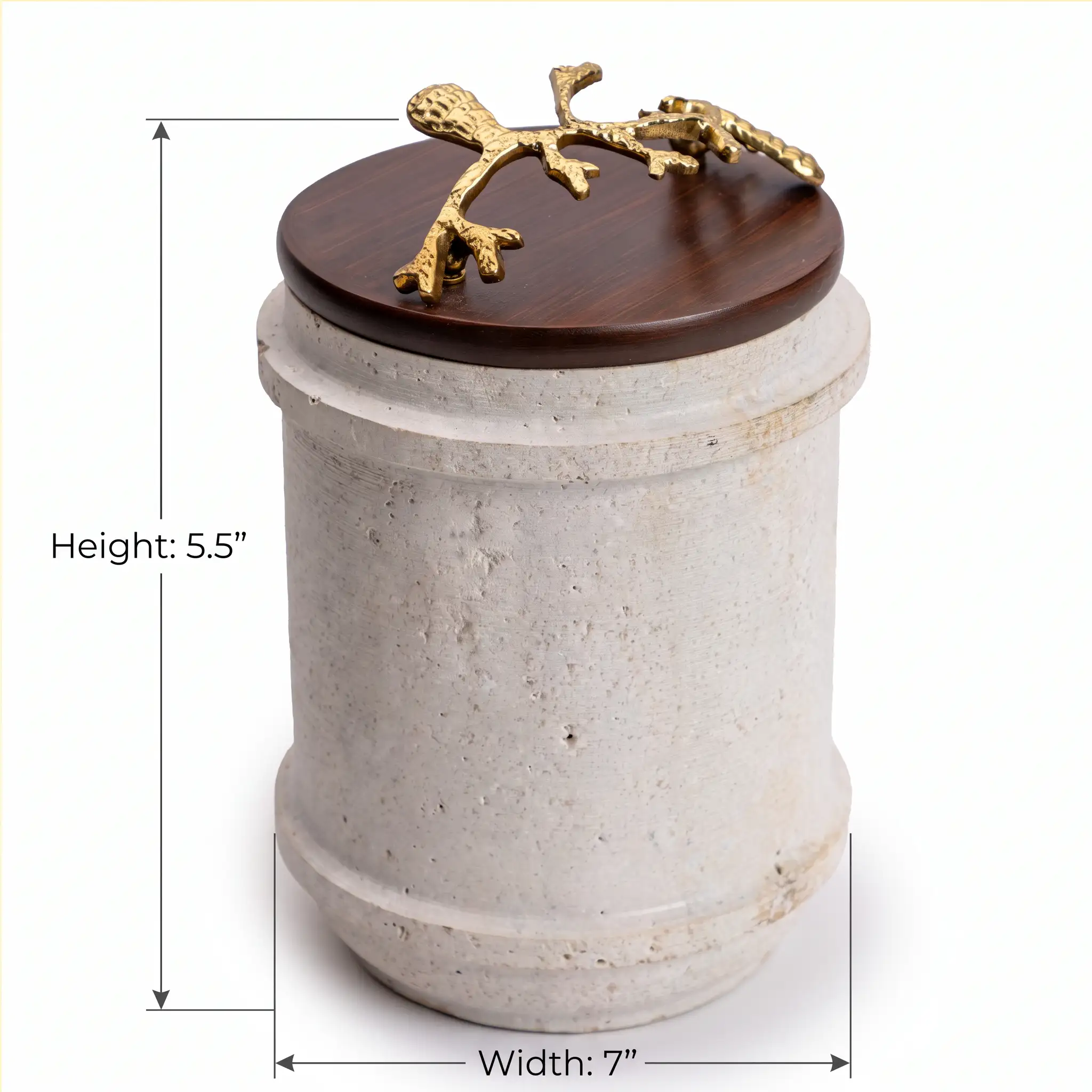 Coral Keepsake Studio -Measurement