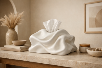 The Tissue Box Nobody Wants to Hide: Why an Everyday Essential Deserves a Design-Led Cover in Pakistan